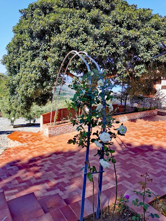 Villa Verde Cefalu Exterior photo