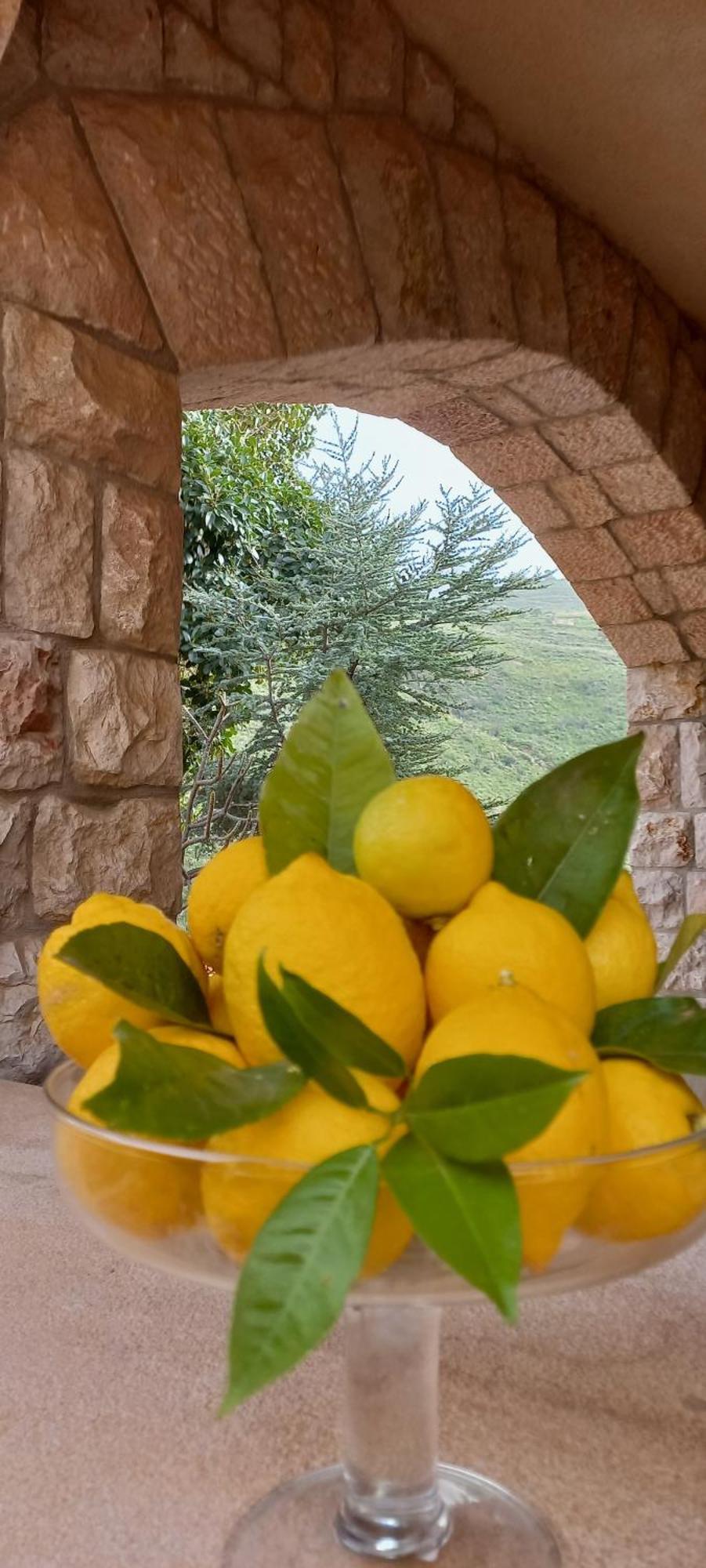 Villa Verde Cefalu Exterior photo